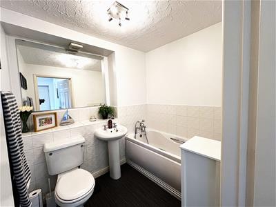Picture 11